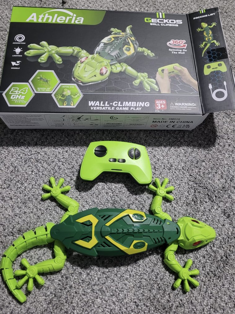 Duvara Tırmanan Kertenkele