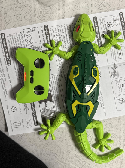 Duvara Tırmanan Kertenkele