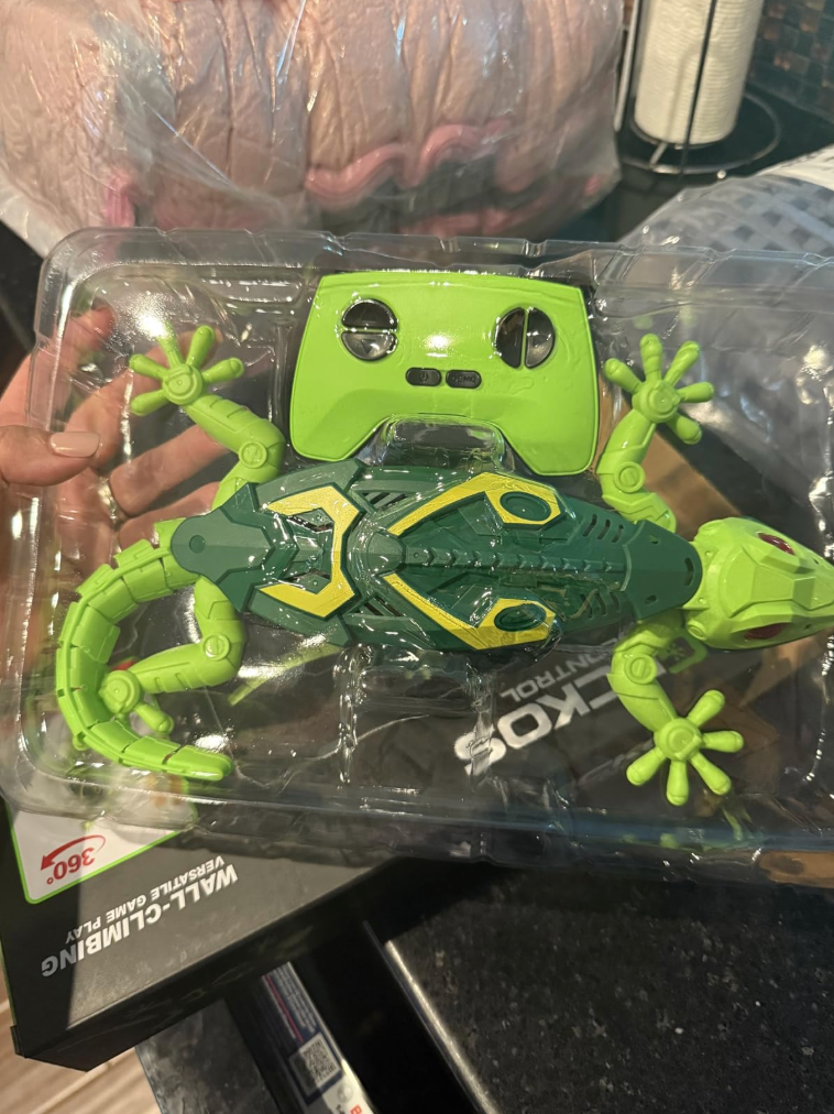 Duvara Tırmanan Kertenkele