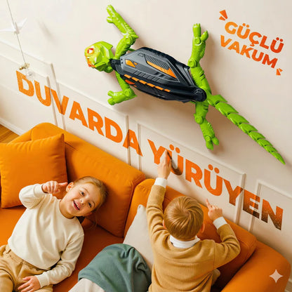 Duvara Tırmanan Kertenkele